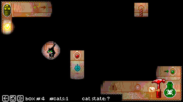 Schrodinger's Cat Experiment (SCE).