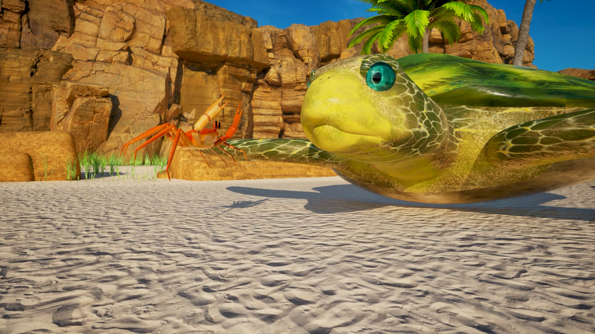 Scuttle screenshot #6