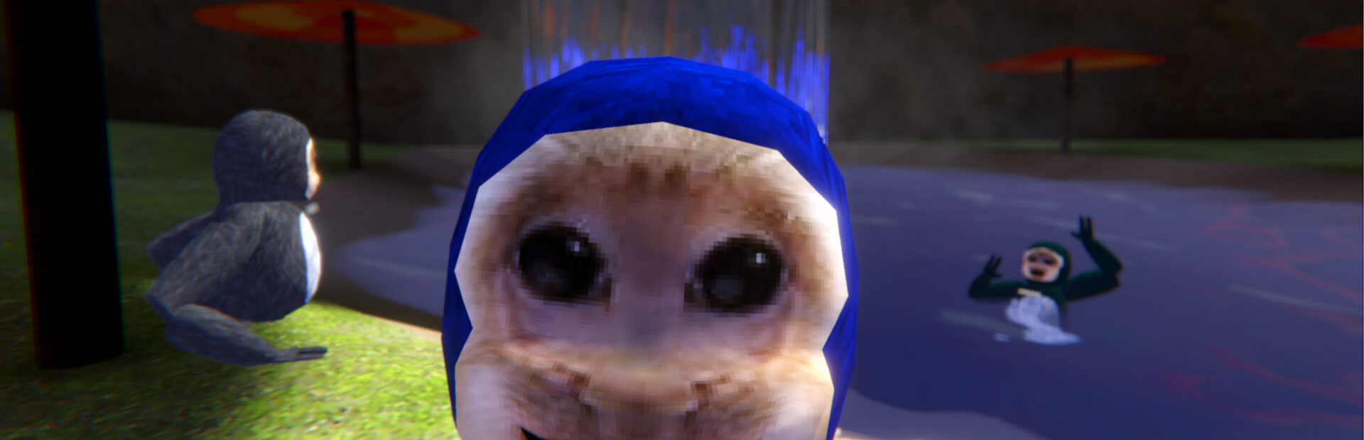Capuchin