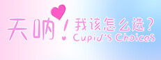 天呐！我该怎么选？