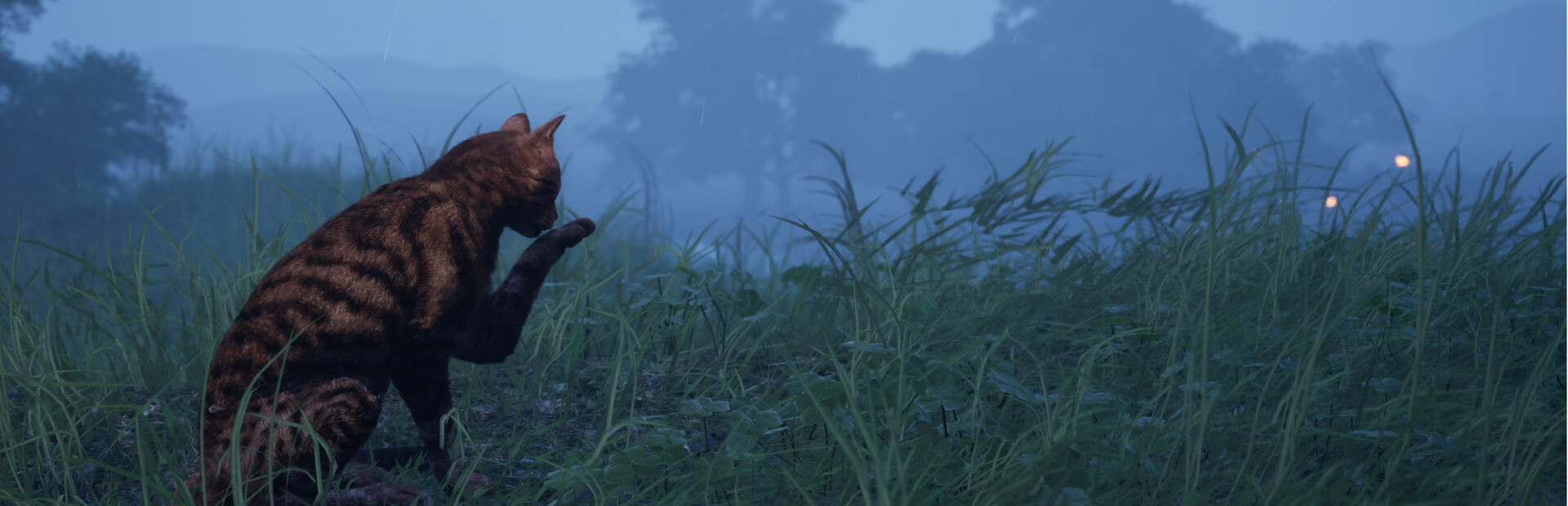 CozyCat Simulator