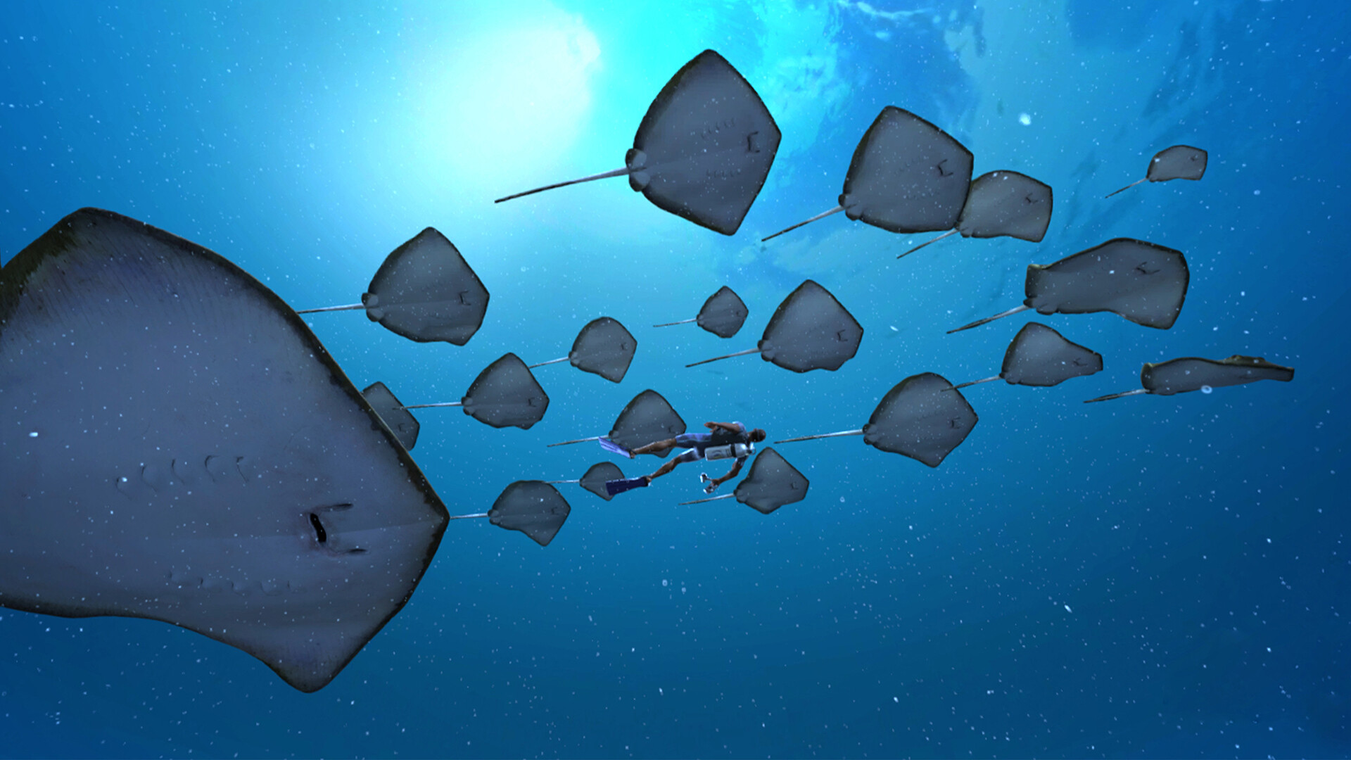 ImmersiX - Sharkarma Featured Screenshot #1