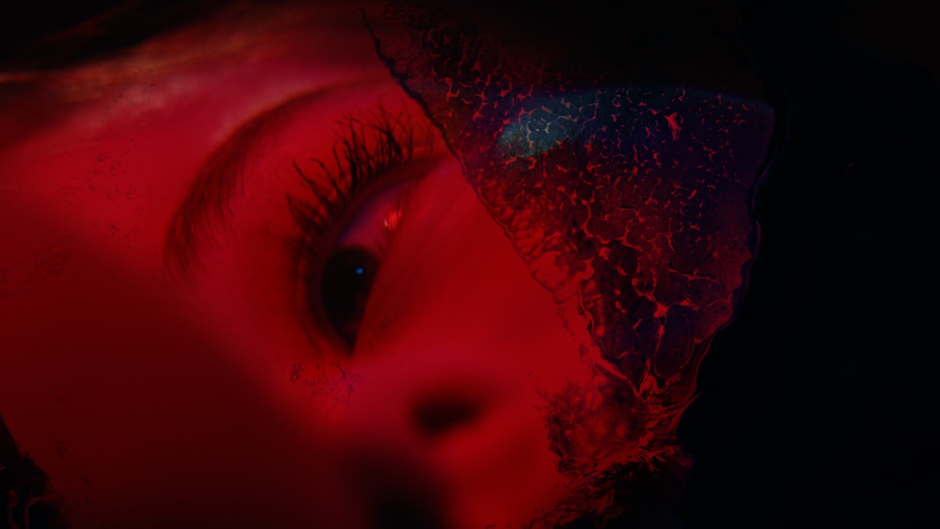 Precognition screenshot