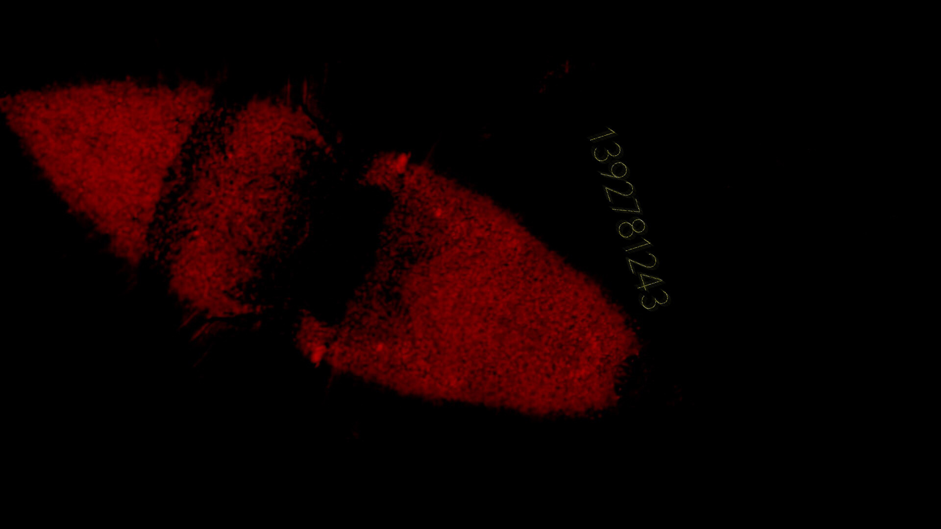 Precognition screenshot