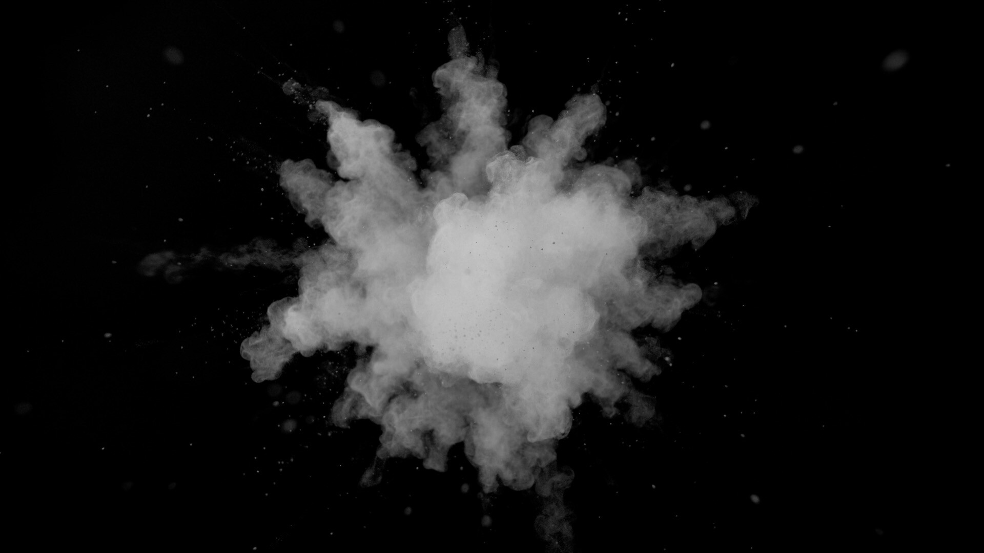 Project C██████ screenshot #2