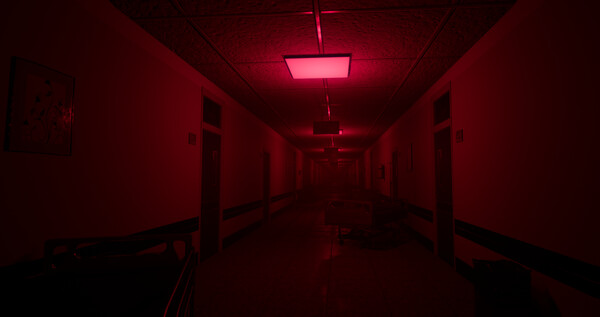 Backrooms: Realm of Shadows - Full Version