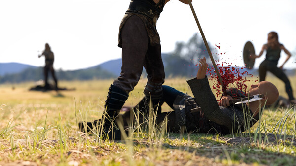 Vikings: Sex and Blood — скриншот 17