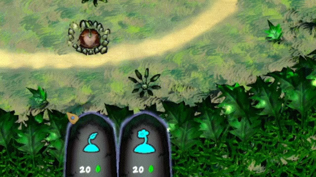 Phyto video 3