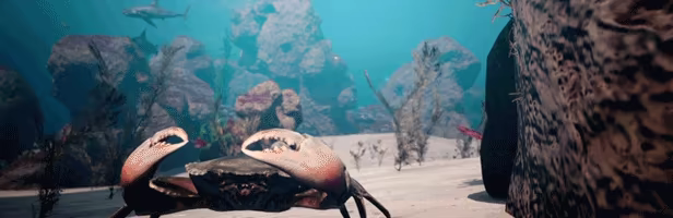 Infinite Blue video 4