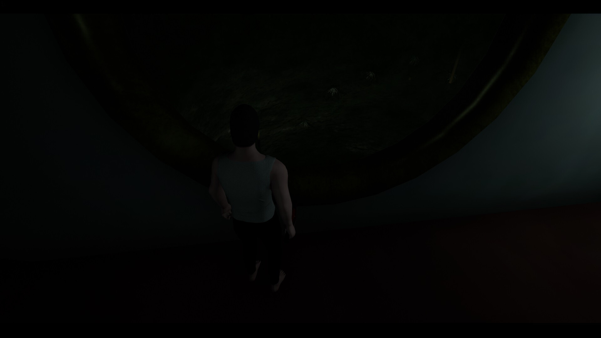 DinD screenshot #6
