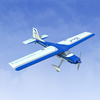 RealFlight Evolution - 2024 Year Content Pass
