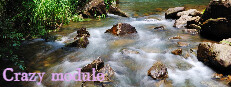 Crazy module