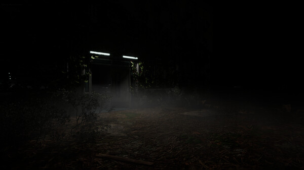 Ephemeral Descent screenshot 1