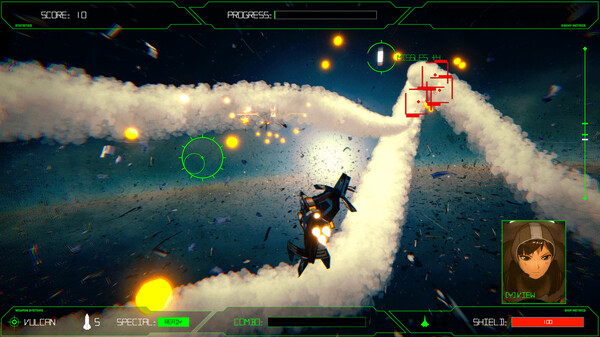 Скриншот из ROGUE FLIGHT