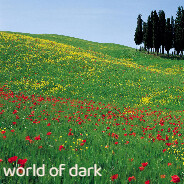 world of dark