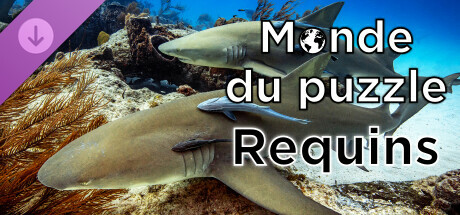 Monde du puzzle - Requins