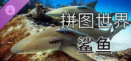 拼图世界 - 鲨鱼