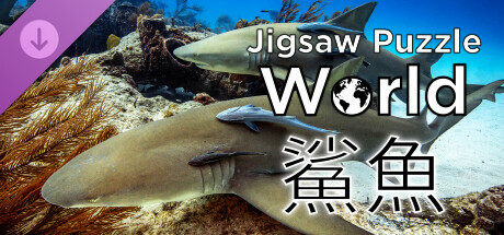 《Jigsaw Puzzle World》- 鯊魚