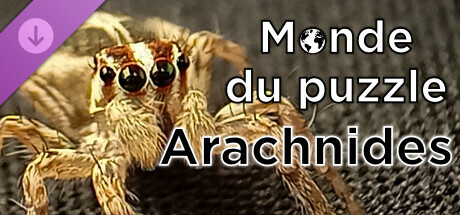 Monde du puzzle - Arachnides