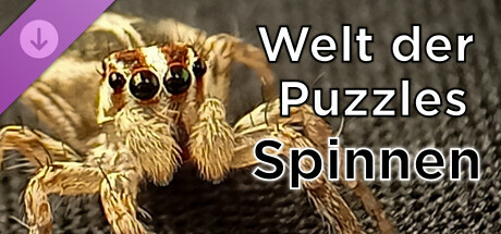 Welt der Puzzles - Spinnen