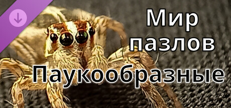Мир пазлов - Паукообразные