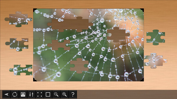 Jigsaw Puzzle World - Arachnids