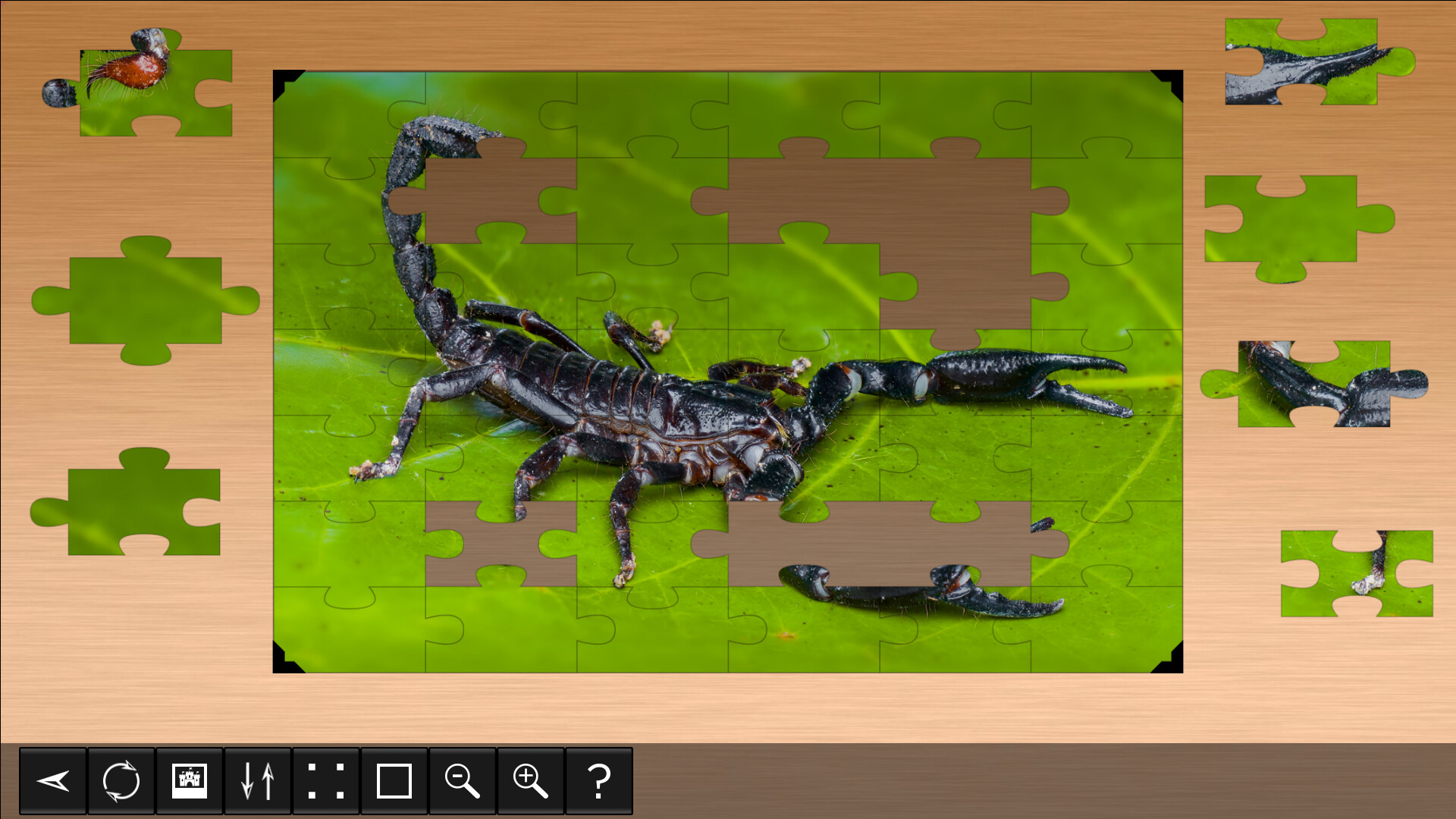 Jigsaw Puzzle World - Arachnidsのスクリーンショット 1