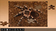 Screenshot #4