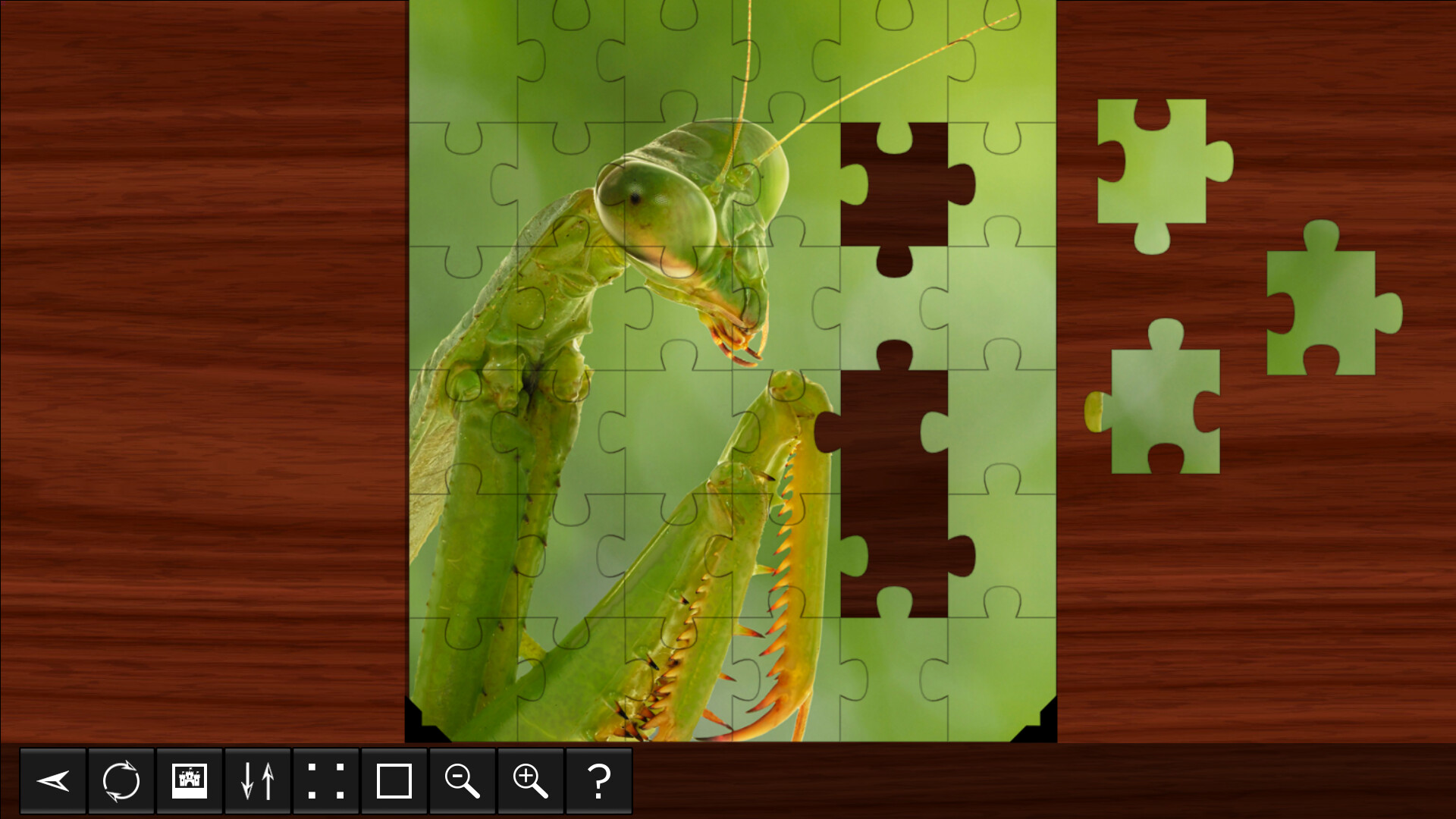 Jigsaw Puzzle World - Insects Featured Screenshot #1