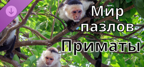 Мир пазлов - Приматы