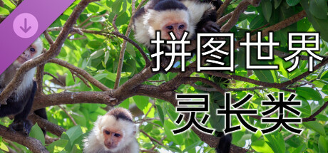 拼图世界 - 灵长类