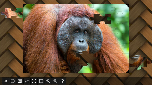 Jigsaw Puzzle World - Primates Jigsaw Puzzle World - Primates