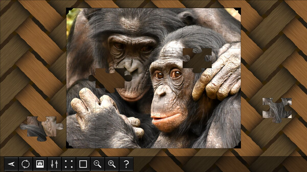Jigsaw Puzzle World - Primates