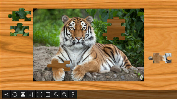 Jigsaw Puzzle World - Lions & Tigers