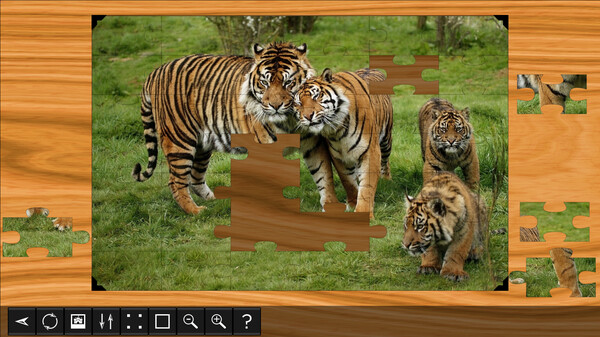 Jigsaw Puzzle World - Lions & Tigers