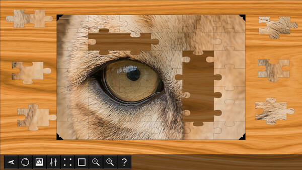 Jigsaw Puzzle World - Lions & Tigers