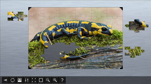 Jigsaw Puzzle World - Amphibians