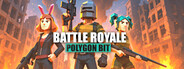 Polygon Bit Battle Royale