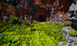 Screenshot #1