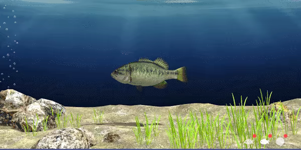 Reel Fishing: Days of Summer video 5