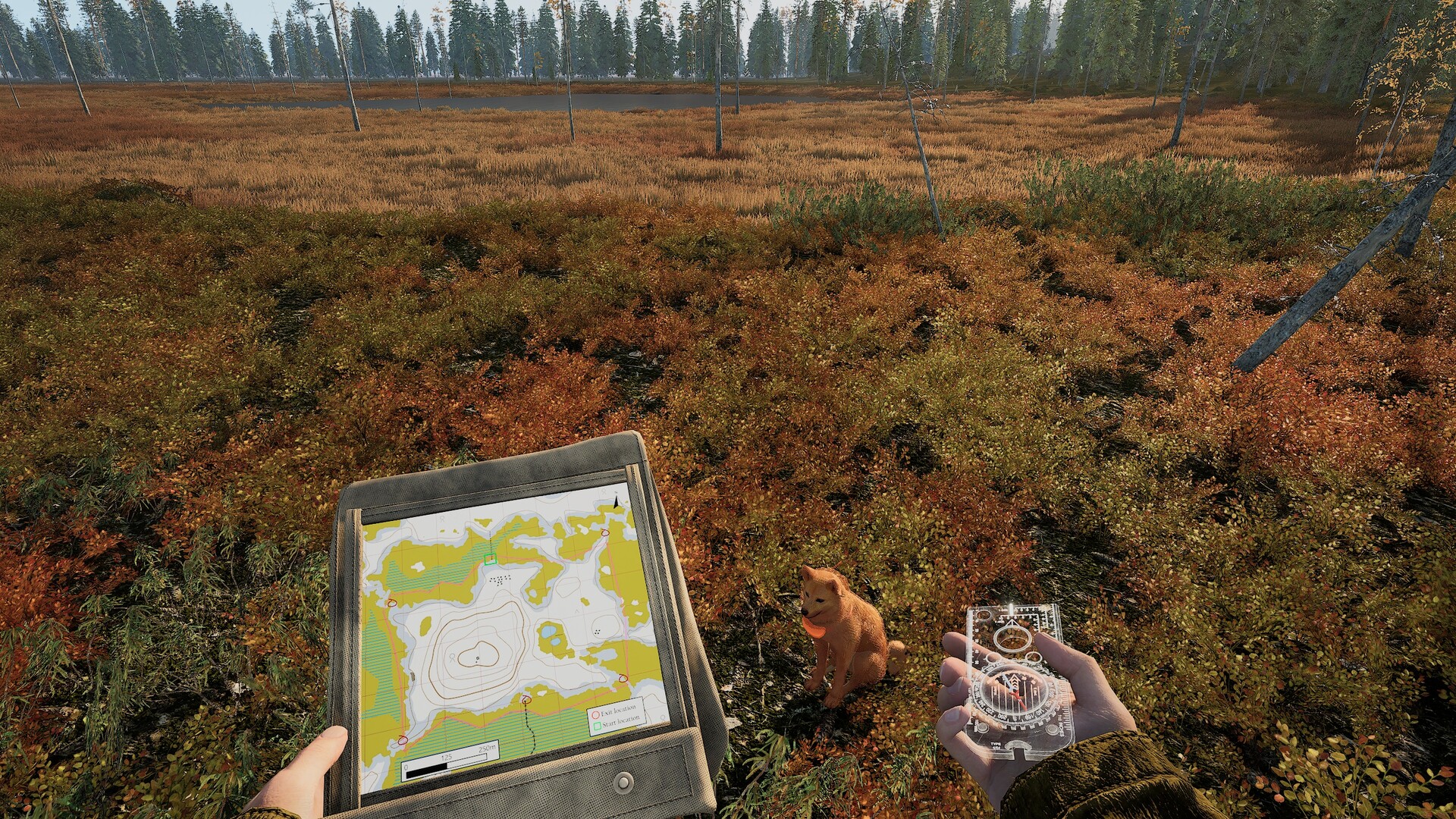 Man and Dog screenshot #5