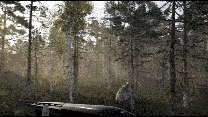 Man and Dog video 4