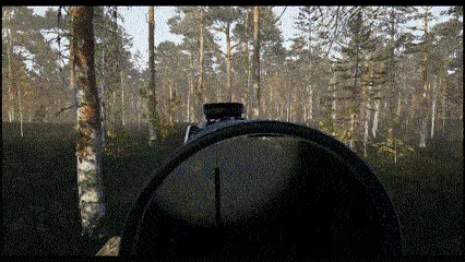 Man and Dog video 2