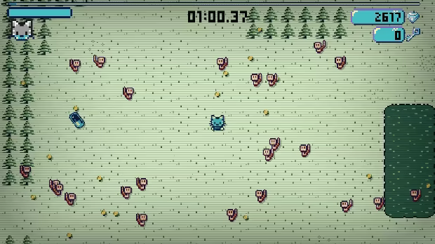 Beef Cat Ultra video 3