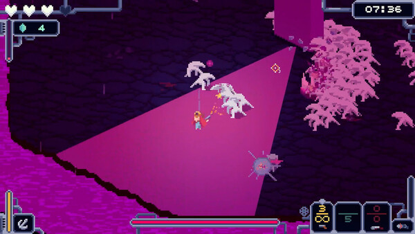 Screenshot of Bermuda Survivor