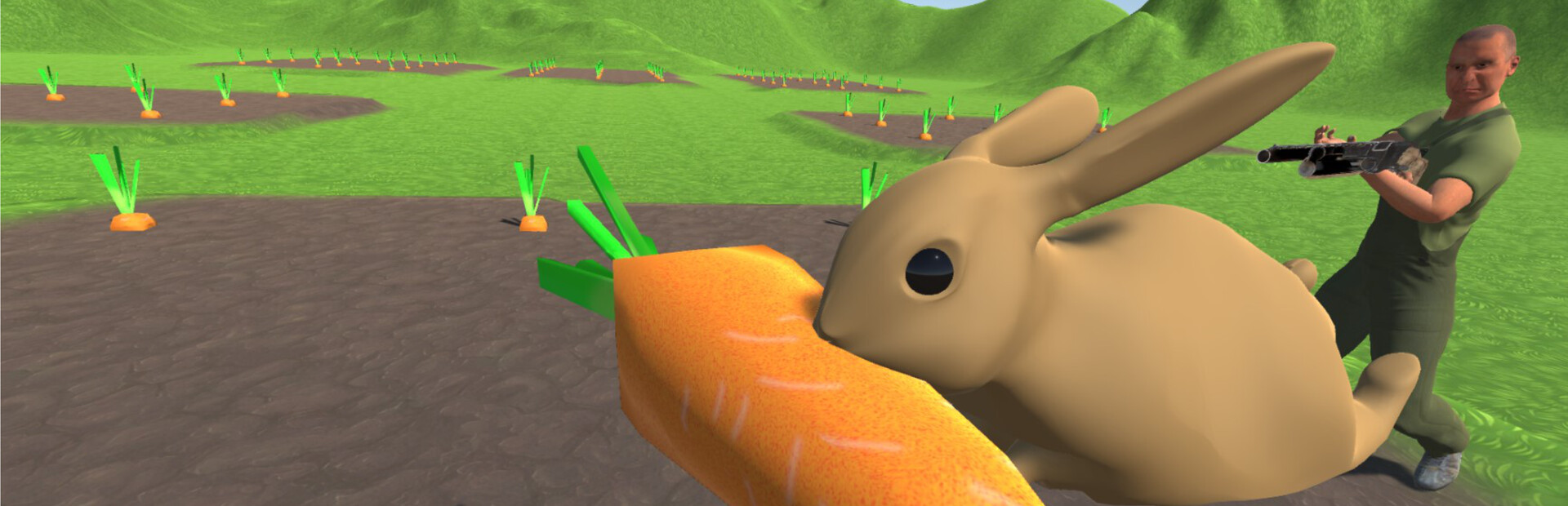 Carrot Paradise