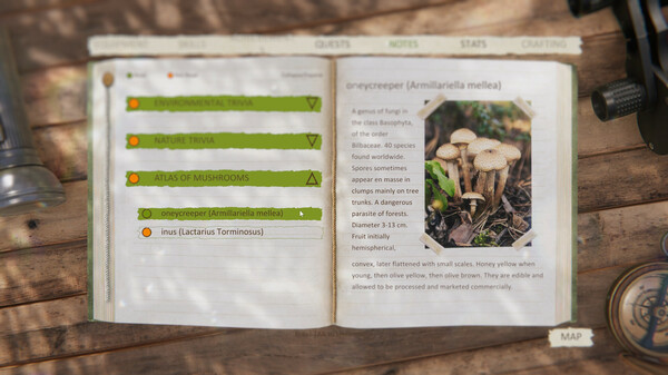 Forest Ranger Simulator - Apprenticeship screenshot 3
