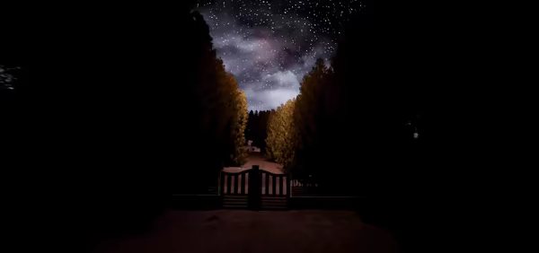 Silent Sonata video 1