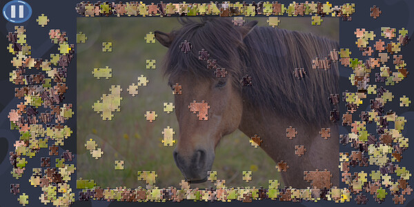 Virtual Jigsaw Puzzles - Animals