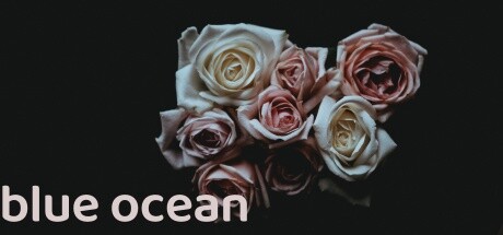 blue ocean banner